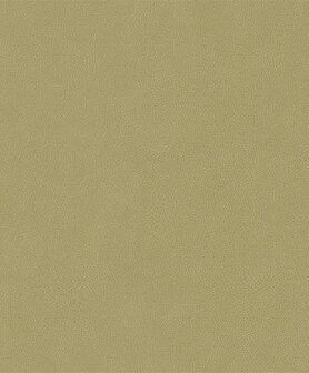 HookedOnWalls Passe Partout 2026 Colour Vibes (*Met Gratis Lijm!) 29898