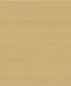 HookedOnWalls Passe Partout 2026 Colour Vibes (*Met Gratis Lijm!) 29903
