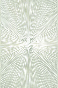 Dutch Wall Decor Trussardi 8 Z30356