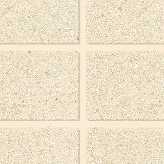 Noordwand The New Amsterdam Book 59750 - Beige