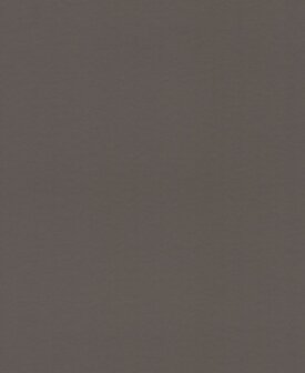 Noordwand The New Amsterdam Book 78747 - Grijs / Metallic