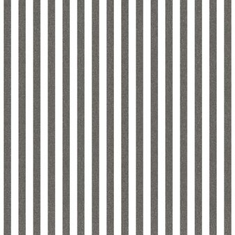 Noordwand Top Stripes 38439 - Zwart / Wit
