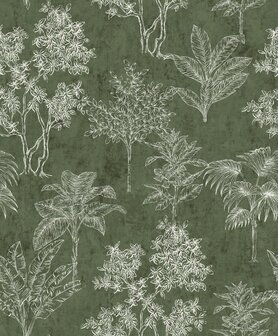 Noordwand Zen DWP0361-01 - Groen