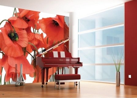 AG Design Fotobehang Klaprozen FTS0479