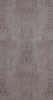 BN Wallcoverings Curious 17952