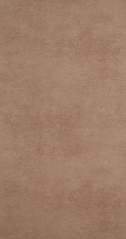 BN Wallcoverings Curious 17919