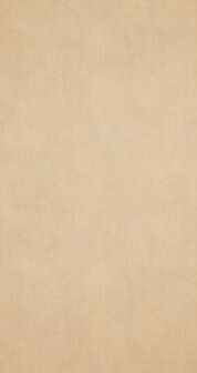 BN Indian Summer 218546