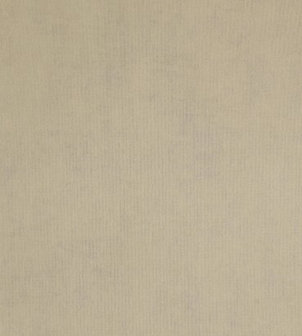 BN Color Stories Chapter Three 218508 - Beige - Bruin