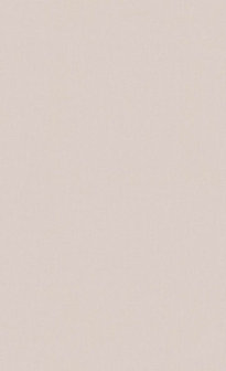 BN Wallcoverings Timeless Stories 219213 - Beige