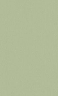 BN Wallcoverings Timeless Stories 219223 - Groen