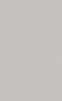 BN Wallcoverings Timeless Stories 219219 - Taupe