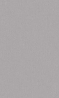 BN Wallcoverings Smalltalk 219220 - Grijs