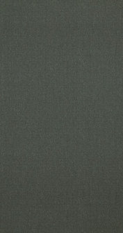 BN Wallcoverings Interior Affairs 218688 - Groen