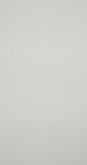 BN Wallcoverings Texture Stories Licht Grijs 218970 - Grijs