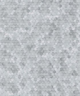 BN Wallcoverings Dimensions 219583 - Grijs