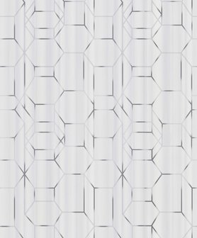 BN Wallcoverings Dimensions 219600 - Grijs - Wit