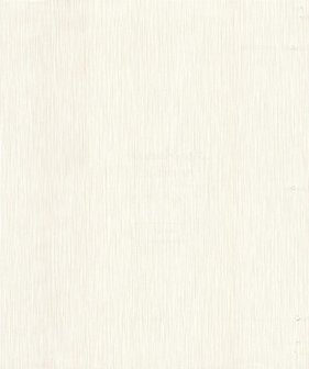 Noordwand Topchic 3509-80