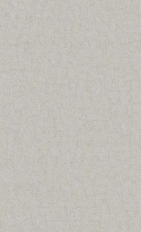 BN Van Gogh 2019 220071