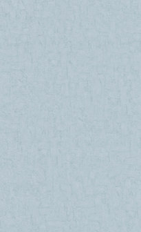 BN Van Gogh 2019 220076