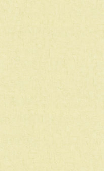 BN Van Gogh 2019 220078