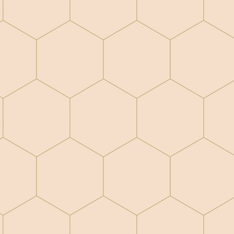 Esta Art Deco 139226 (*Gratis Lijm Actie) - Roze - Oranje