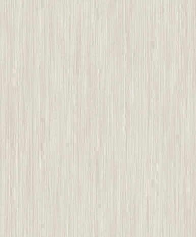 Dutch Wallcoverings Structures M554-07 beige