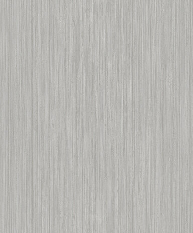 Dutch Wallcoverings Structures M554-19 bruin