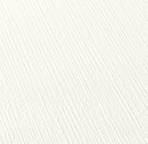 AS Creation 111 Shades of White 2885-78 / 288578 - Wit