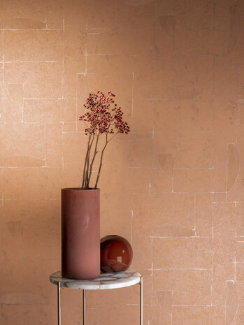 HookedOnWalls Terra Cotta 42118 (Met Gratis Lijm!)