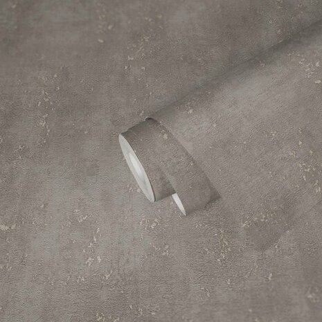 AS Creation Titanium 3 38195-3 / 381953 - Taupe Grijs