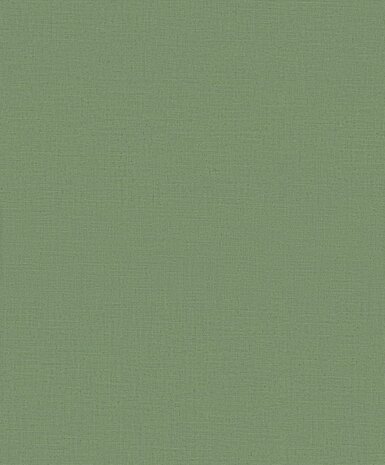 Dutch Wall Decor Daphne CC100507 Groen