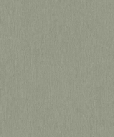 BN Wallcoverings Monochrome 221414 Groen