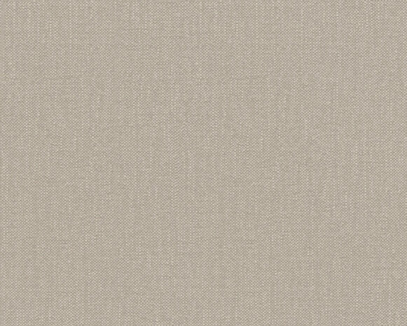 AS Creation Terra - 2117-12 / 211712 Grijs / Taupe