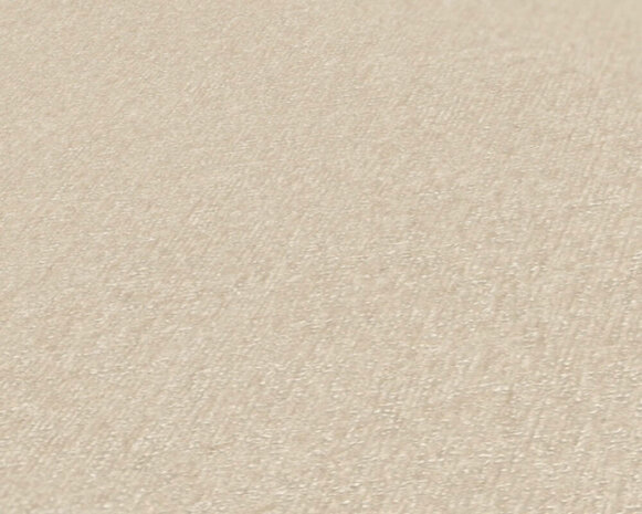 AS Creation Terra - 38925-2 / 389252 Beige