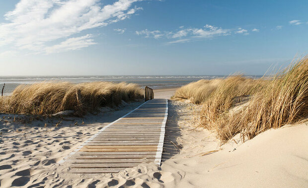 FBK Landschap Fotobehang 1020