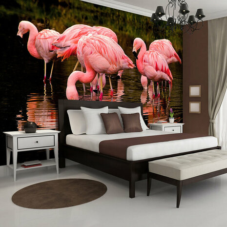 FBK Flamingo Fotobehang 3616