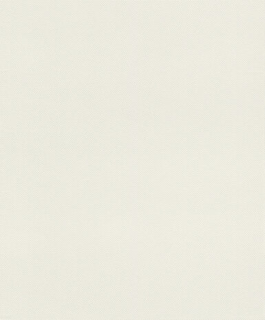 Rasch Deco Style 312324 Wit