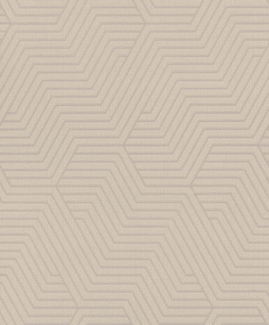 Rasch Deco Style 312522 Grijs