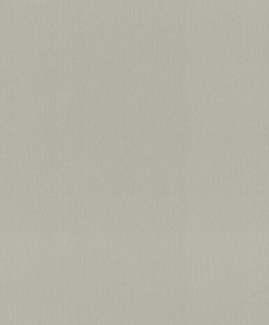 Rasch Amara 720167 Grijs
