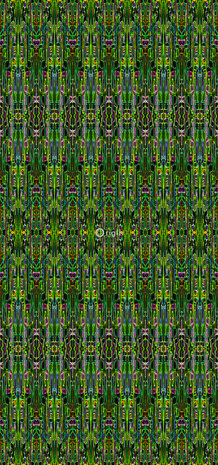 Origin Wallcoverings Mariska Meijers (Met Gratis Lijm!) 356905 - Groen