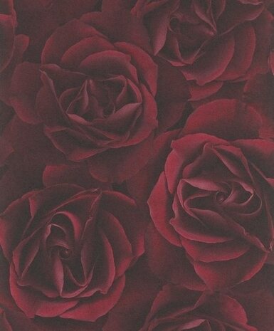 RASCH Crispy Paper 525625 Behang