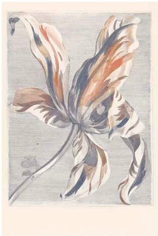 Eijffinger Masterpiece 358116 Behang
