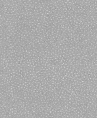Rasch Sparkling 523621 Behang