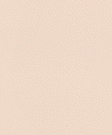 Rasch Sparkling 523638 Behang