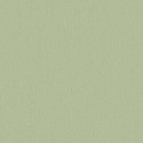 BN Wallcoverings Timeless Stories 219223 - Groen Behang