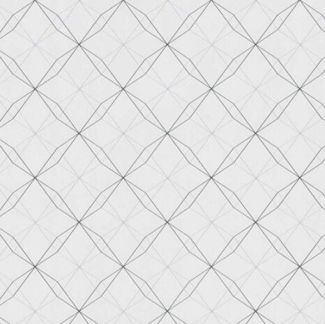 BN Wallcoverings Smalltalk 219242 - Zwart - Wit Behang