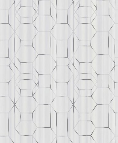 BN Wallcoverings Dimensions 219600 - Grijs - Wit Behang