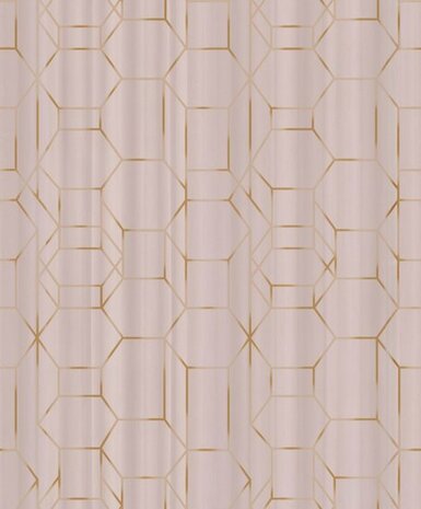 BN Wallcoverings Dimensions 219601 - Roze Behang