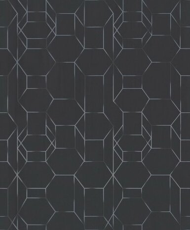 BN Wallcoverings Dimensions 219603 - Zwart Behang