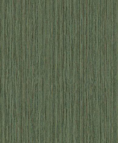 BN Wallcoverings Dimensions 219611 - Groen Behang